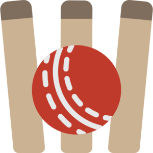 cricket ball hitting wickets